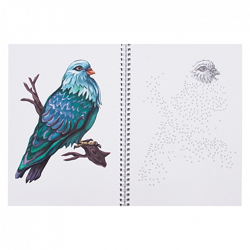 Альбом для рисования по точкам А4 32л Птицы, бабочки, стрекозы Проф-Пресс, 32-5999