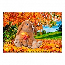 Календарь  2023 год квартальный Год кролика.Романтическое настроение День за Днем, 14309